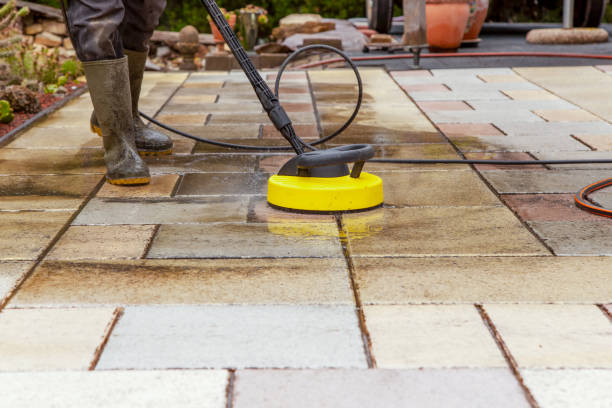 Best Rust Removal  in Ridge Manor, FL